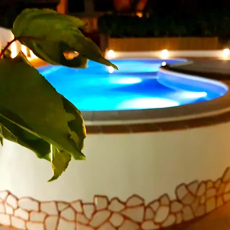 Alexander Hotel 3*