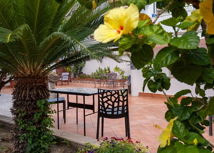 Alexander Hotel Giardini Naxos